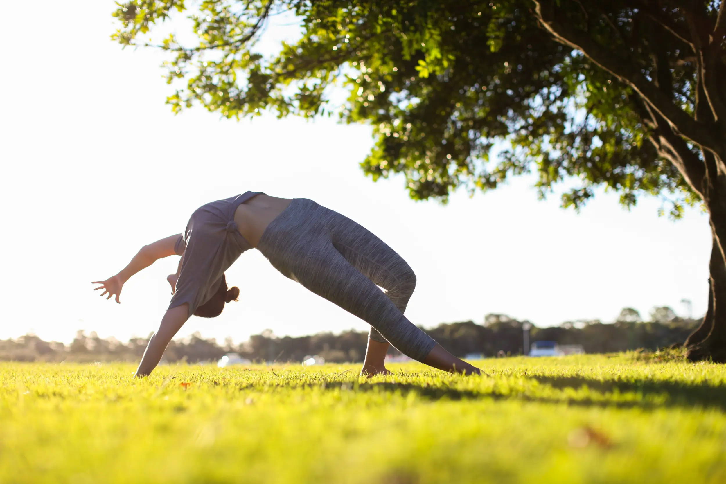 5 estilos de yoga que te enamorarán - Blog