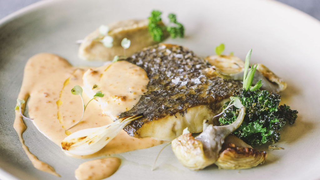 Menú degustación Albor y selección de vinos